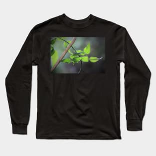 Green and Grey Long Sleeve T-Shirt